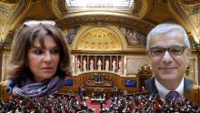 Nathalie Goulet et Hervé Maurey deux des quatre sénateurs déposant un recours contre le gouvernement